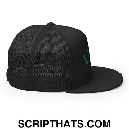 Upside Down Philly Embroidered Flat Bill Brim Trucker Hat Black