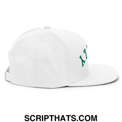 Upside Down Philly Football Embroidered Flat Bill Brim Snapback Hat White