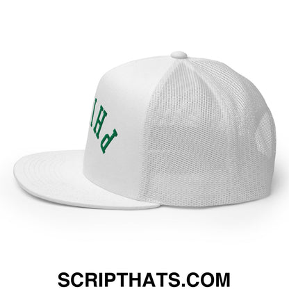 Upside Down Philly Football Embroidered Flat Bill Brim Trucker Hat White