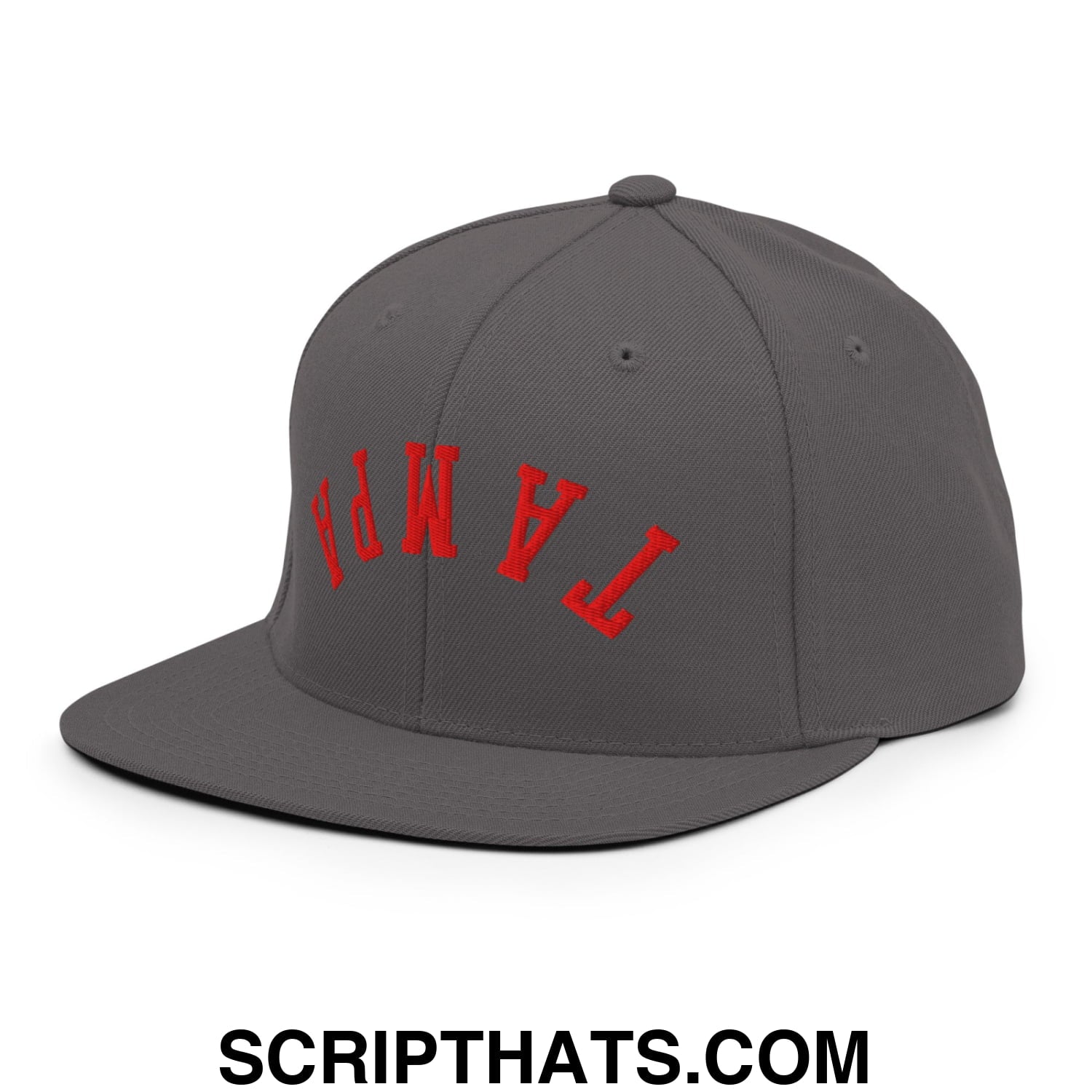 Upside Down Tampa Football Embroidered Flat Bill Brim Snapback Hat Dark Grey