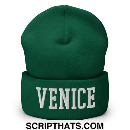 Venice Varsity College Block Embroidered Knit Cuffed Beanie Spruce