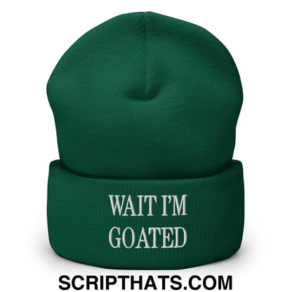 Wait I'm Goated Embroidered Knit Cuffed Beanie Spruce