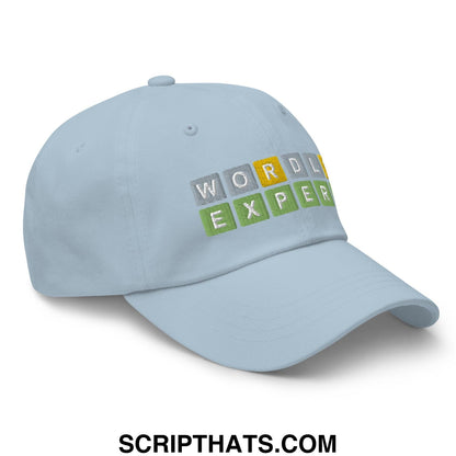 Wordle Expert Dad Hat Light Blue
