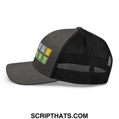 Wordle Expert Retro Trucker Hat Charcoal Black
