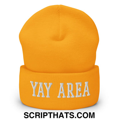 Yay Area Varsity College Block Embroidered Knit Cuffed Beanie Gold
