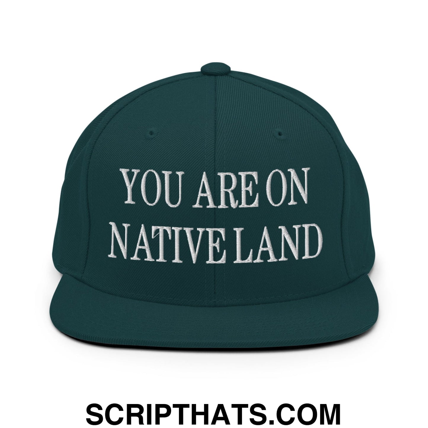 You Are On Native Land Embroidered Flat Bill Brim Snapback Hat Spruce